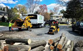Best Lawn Irrigation Installation and Maintenance  in Notre Dame, IN